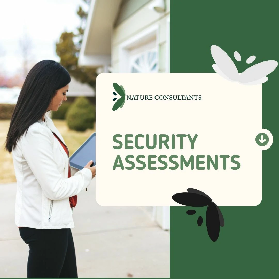 security assessments